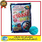 บาซิล999